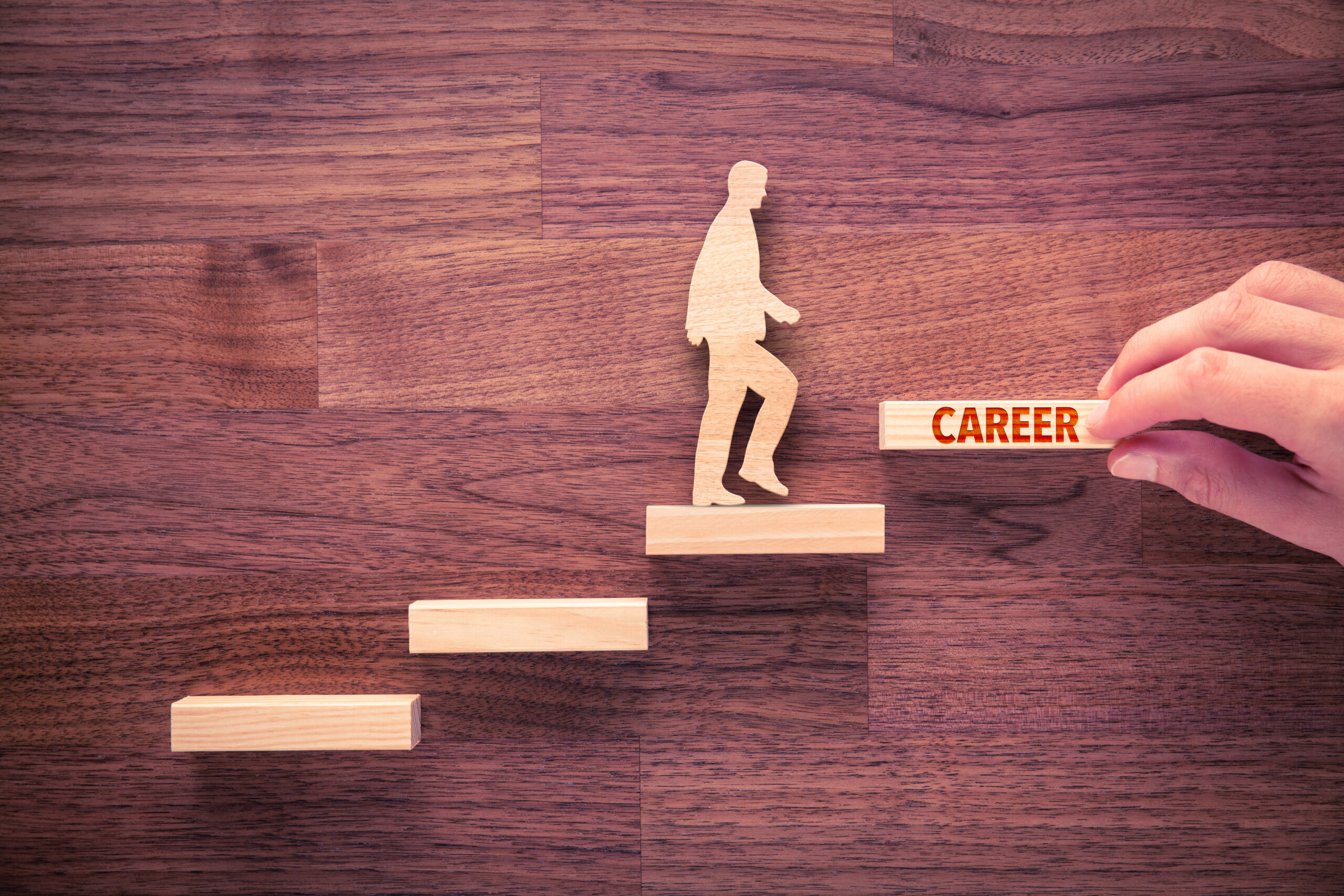 Career Development for Entry-Level Marketing Jobs: The Impact of Leadership Development Programs